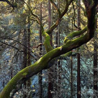 A bright New Year to all!